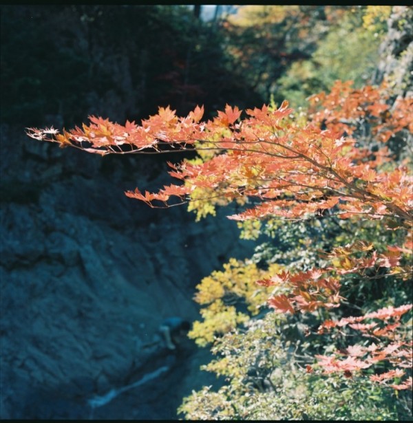 ef397ec212afaef6e91b2cf2fb2014b2_1691544581_1714.jpg